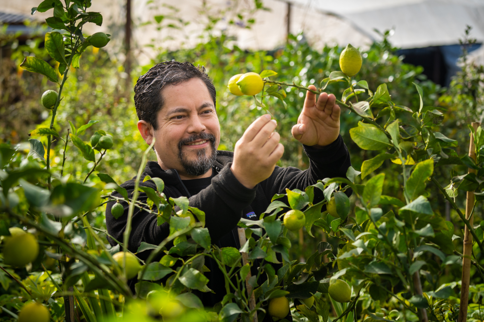 La Familia SoftServe En Latinoamerica. Cinco Preguntas A Nuestro